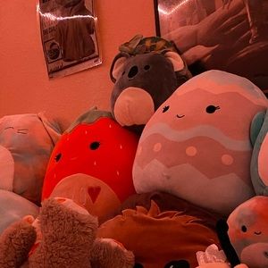 Meet your Posher, Angela